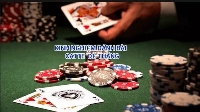 Kinh nghiệm đánh bài Catte từ cao thủ tại Hitclub